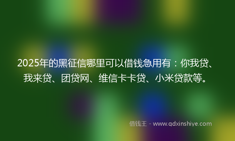 2025年的黑征信哪里可以借钱急用有：你我贷、我来贷、团贷网、维信卡卡贷、小米贷款等。