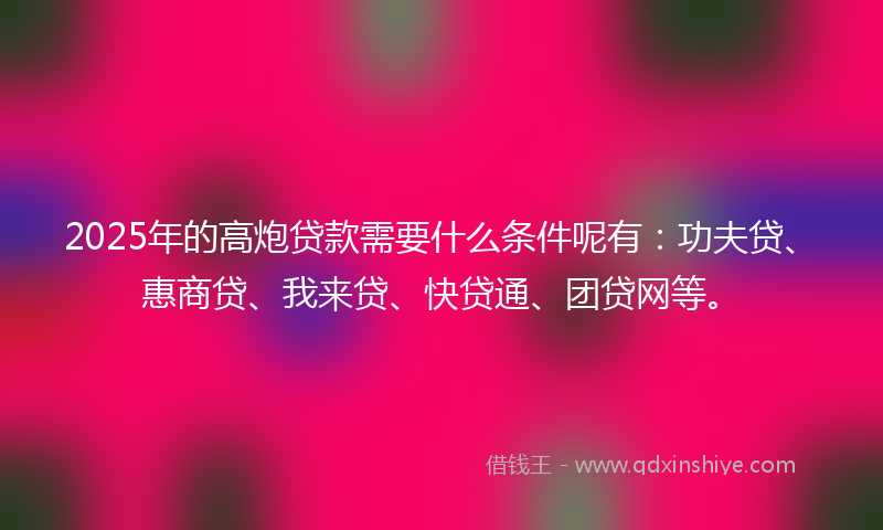 2025年的高炮贷款需要什么条件呢有：功夫贷、惠商贷、我来贷、快贷通、团贷网等。