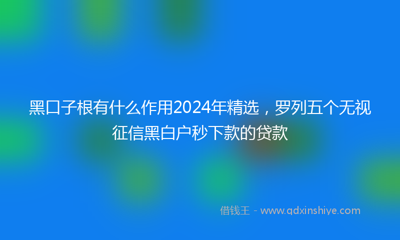 黑口子根有什么作用2024年精选，罗列五个无视征信黑白户秒下款的贷款