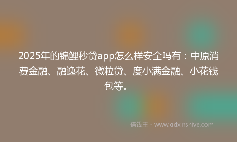 2025年的锦鲤秒贷app怎么样安全吗有：中原消费金融、融逸花、微粒贷、度小满金融、小花钱包等。