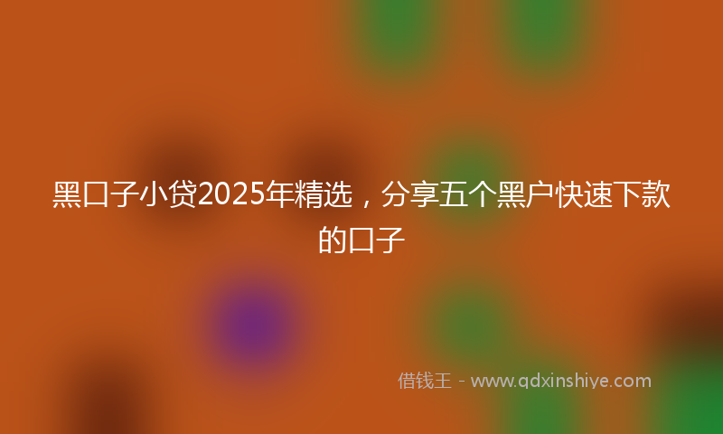 黑口子小贷2025年精选，分享五个黑户快速下款的口子