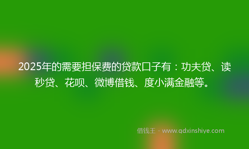 2025年的需要担保费的贷款口子有：功夫贷、读秒贷、花呗、微博借钱、度小满金融等。