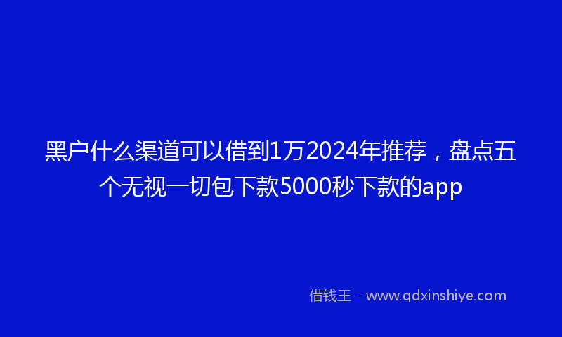 黑户什么渠道可以借到1万2024年推荐，盘点五个无视一切包下款5000秒下款的app