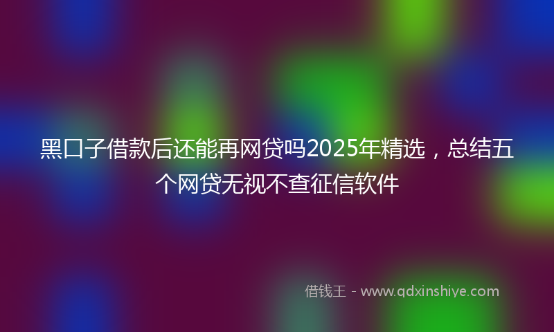 黑口子借款后还能再网贷吗2025年精选，总结五个网贷无视不查征信软件