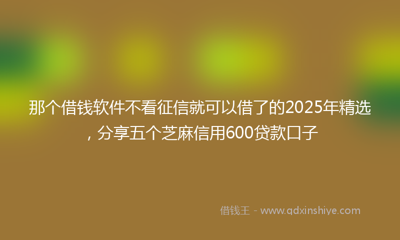 那个借钱软件不看征信就可以借了的2025年精选，分享五个芝麻信用600贷款口子