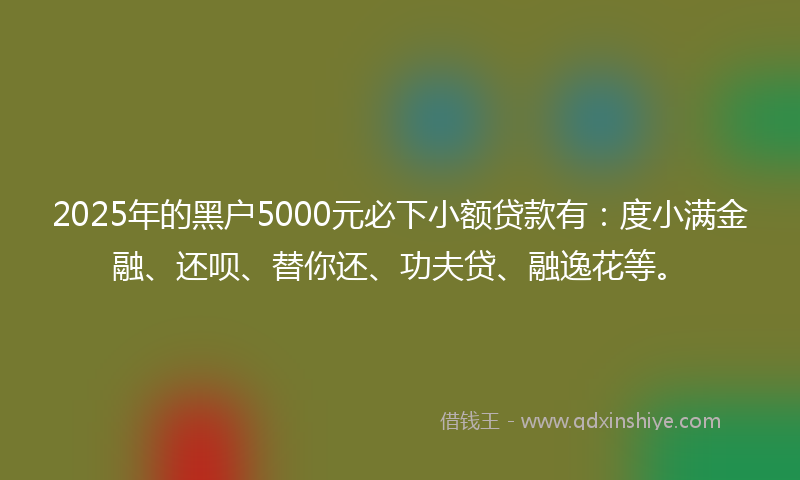 2025年的黑户5000元必下小额贷款有：度小满金融、还呗、替你还、功夫贷、融逸花等。