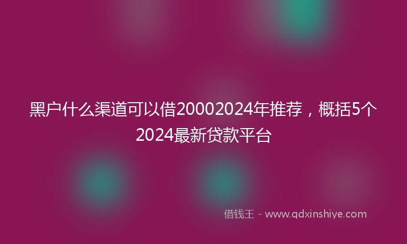 黑户什么渠道可以借20002024年推荐，概括5个2024最新贷款平台