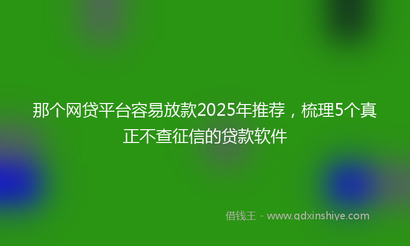 那个网贷平台容易放款2025年推荐，梳理5个真正不查征信的贷款软件