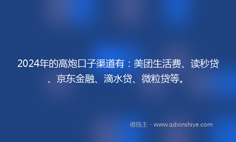 2024年的高炮口子渠道有：美团生活费、读秒贷、京东金融、滴水贷、微粒贷等。
