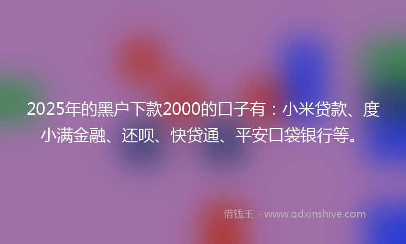 2025年的黑户下款2000的口子有：小米贷款、度小满金融、还呗、快贷通、平安口袋银行等。