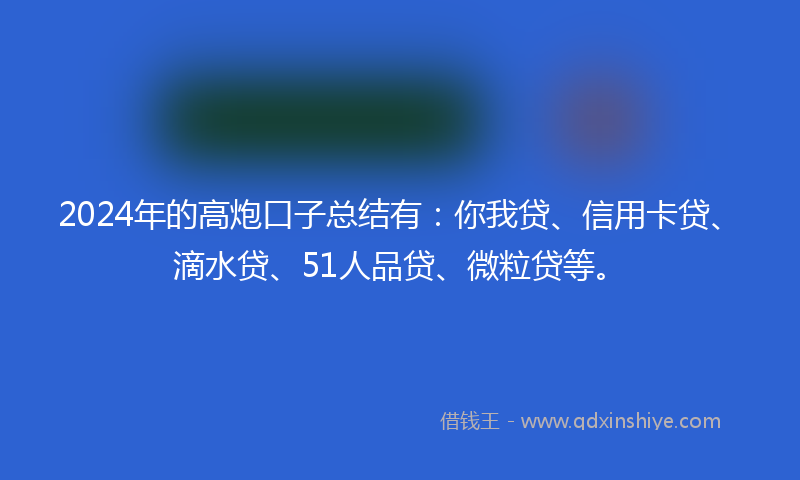 2024年的高炮口子总结有：你我贷、信用卡贷、滴水贷、51人品贷、微粒贷等。