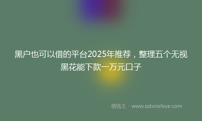 黑户也可以借的平台2025年推荐，整理五个无视黑花能下款一万元口子