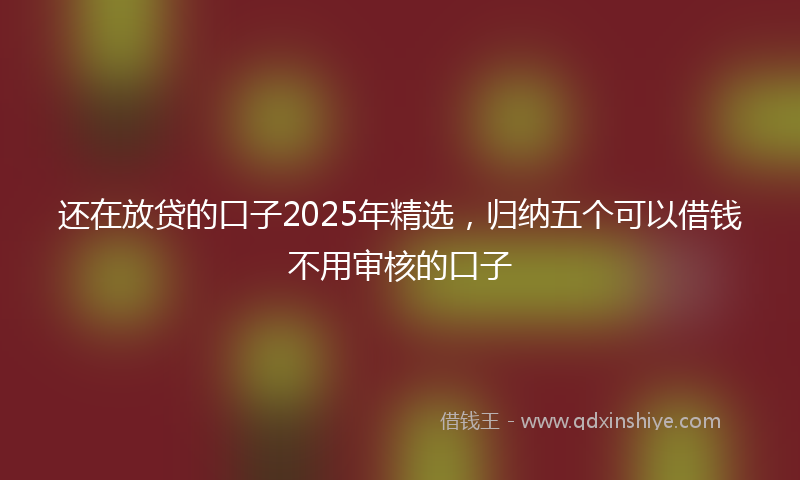 还在放贷的口子2025年精选，归纳五个可以借钱不用审核的口子