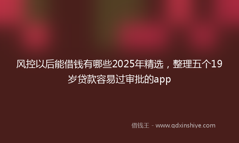 风控以后能借钱有哪些2025年精选，整理五个19岁贷款容易过审批的app