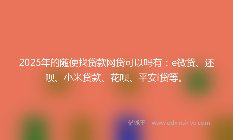 2025年的随便找贷款网贷可以吗有：e微贷、还呗、小米贷款、花呗、平安i贷等。