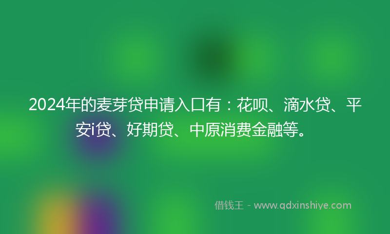2024年的麦芽贷申请入口有：花呗、滴水贷、平安i贷、好期贷、中原消费金融等。