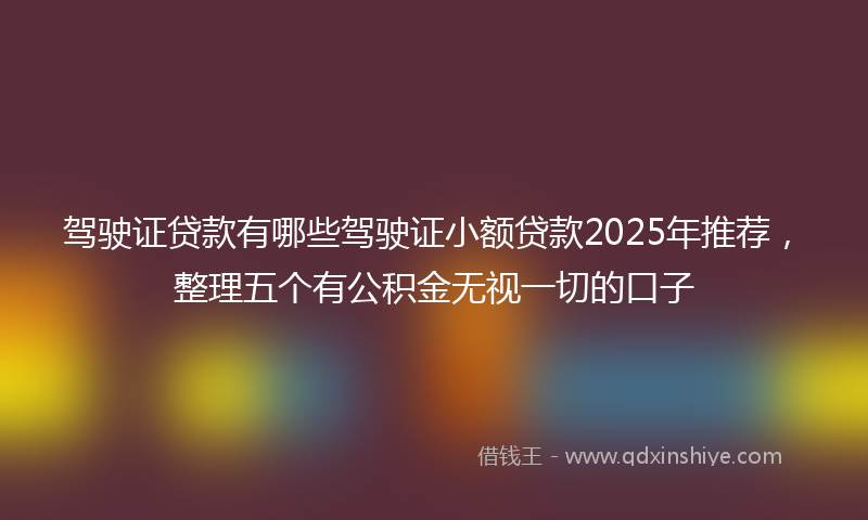 驾驶证贷款有哪些驾驶证小额贷款2025年推荐，整理五个有公积金无视一切的口子