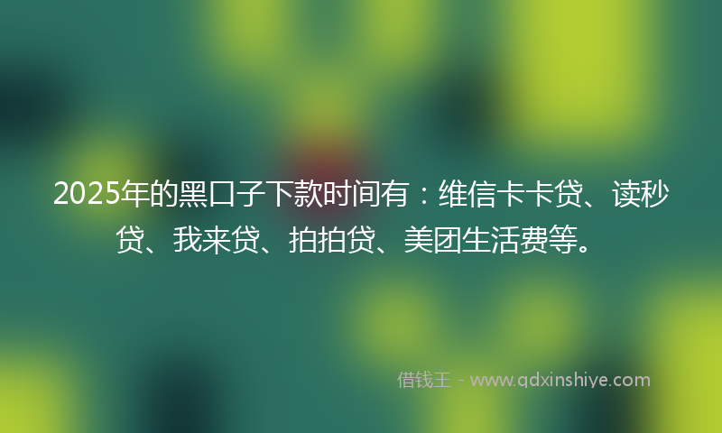 2025年的黑口子下款时间有：维信卡卡贷、读秒贷、我来贷、拍拍贷、美团生活费等。