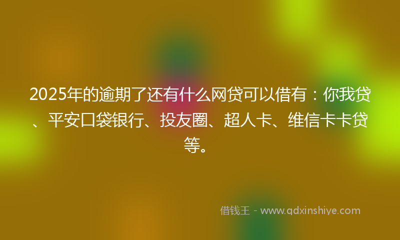 2025年的逾期了还有什么网贷可以借有：你我贷、平安口袋银行、投友圈、超人卡、维信卡卡贷等。