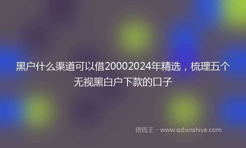 黑户什么渠道可以借20002024年精选，梳理五个无视黑白户下款的口子