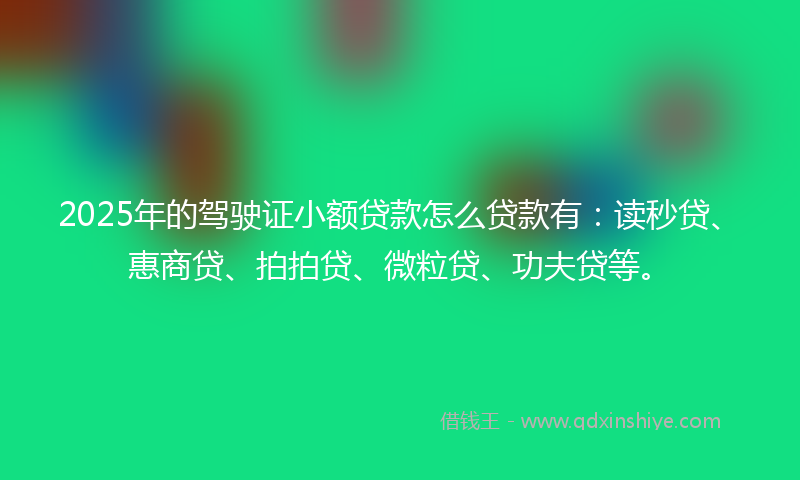 2025年的驾驶证小额贷款怎么贷款有：读秒贷、惠商贷、拍拍贷、微粒贷、功夫贷等。