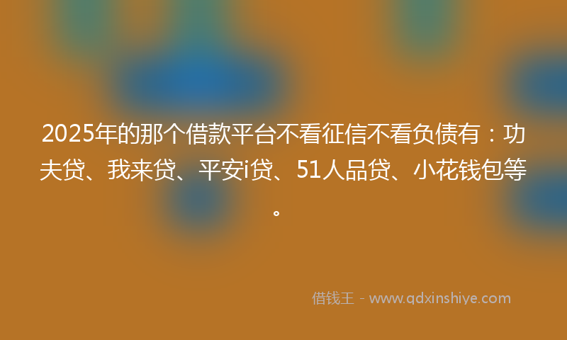 2025年的那个借款平台不看征信不看负债有：功夫贷、我来贷、平安i贷、51人品贷、小花钱包等。