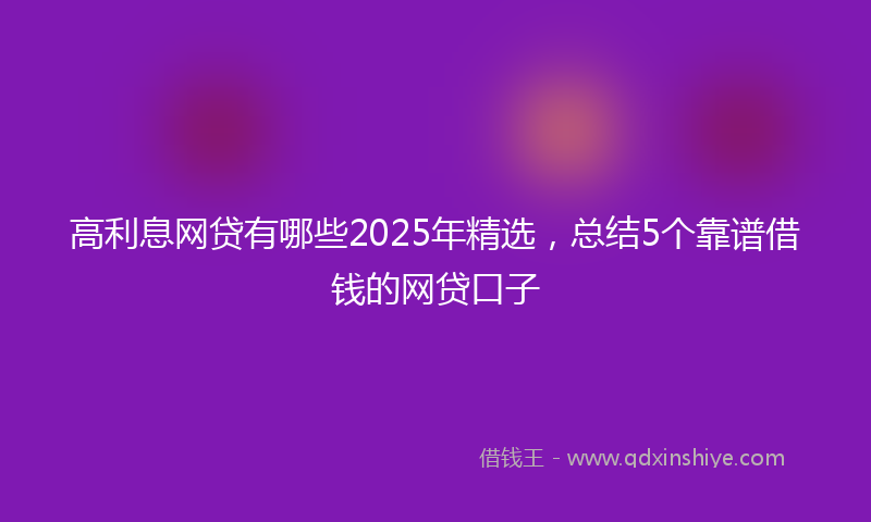 高利息网贷有哪些2025年精选，总结5个靠谱借钱的网贷口子