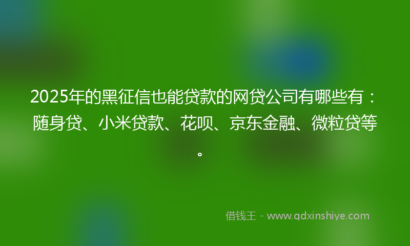 2025年的黑征信也能贷款的网贷公司有哪些有：随身贷、小米贷款、花呗、京东金融、微粒贷等。