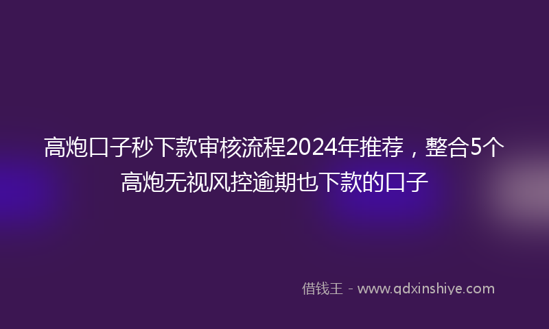 高炮口子秒下款审核流程2024年推荐，整合5个高炮无视风控逾期也下款的口子