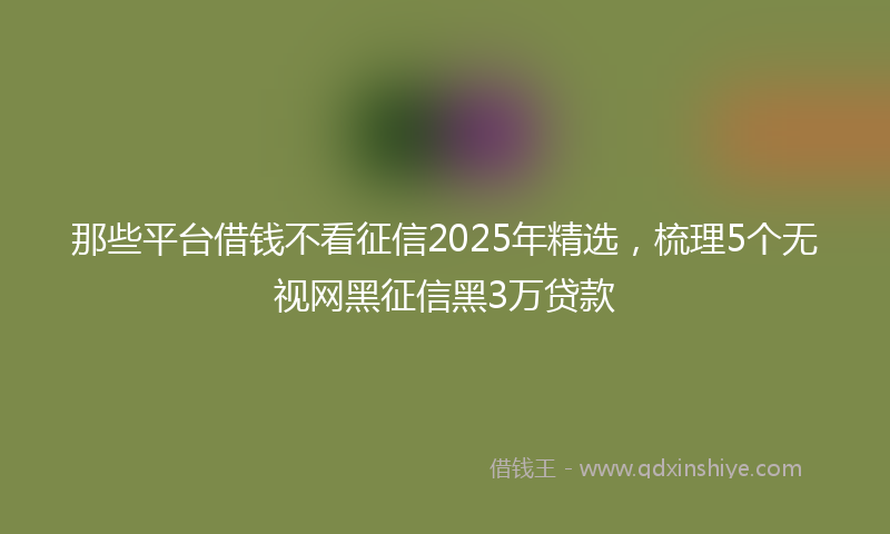 那些平台借钱不看征信2025年精选，梳理5个无视网黑征信黑3万贷款