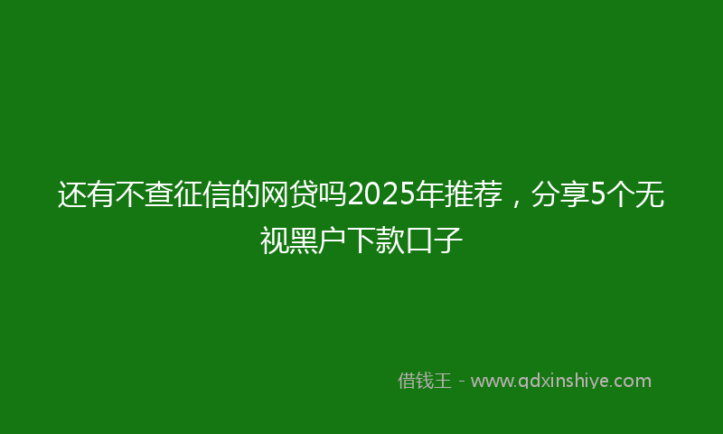 还有不查征信的网贷吗2025年推荐，分享5个无视黑户下款口子