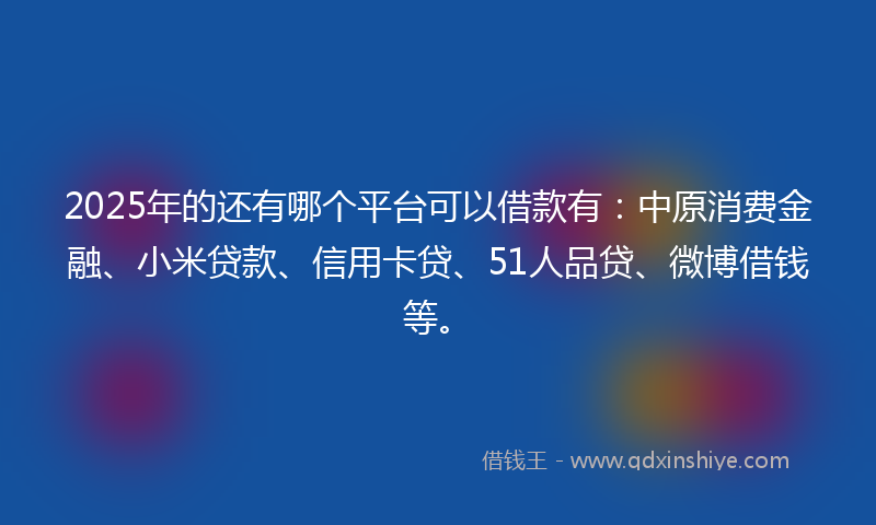2025年的还有哪个平台可以借款有：中原消费金融、小米贷款、信用卡贷、51人品贷、微博借钱等。