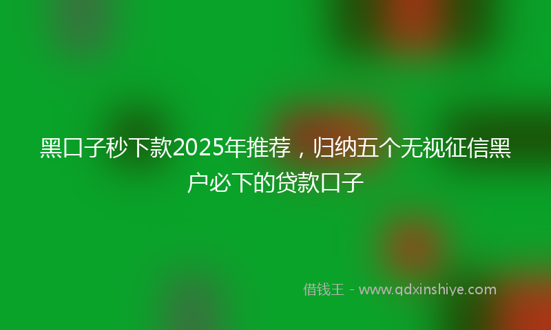 黑口子秒下款2025年推荐，归纳五个无视征信黑户必下的贷款口子