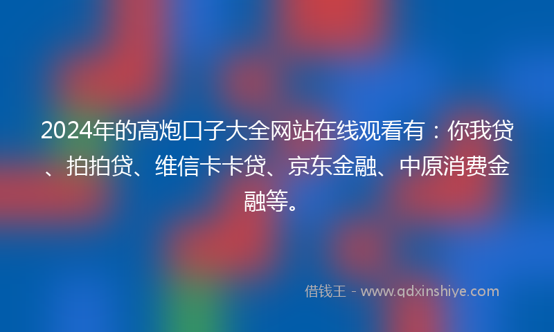2024年的高炮口子大全网站在线观看有：你我贷、拍拍贷、维信卡卡贷、京东金融、中原消费金融等。