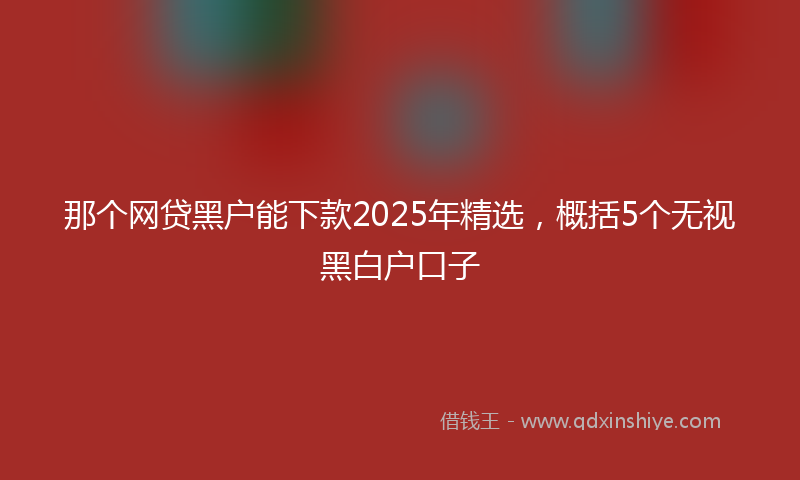 那个网贷黑户能下款2025年精选，概括5个无视黑白户口子