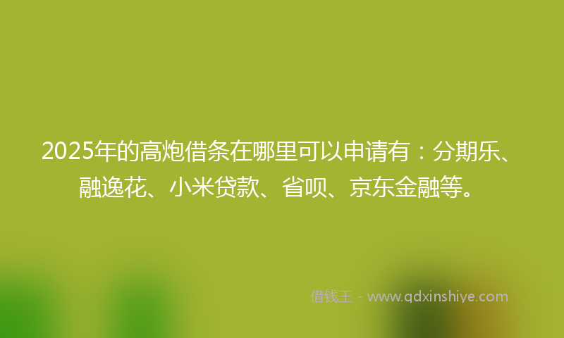 2025年的高炮借条在哪里可以申请有：分期乐、融逸花、小米贷款、省呗、京东金融等。