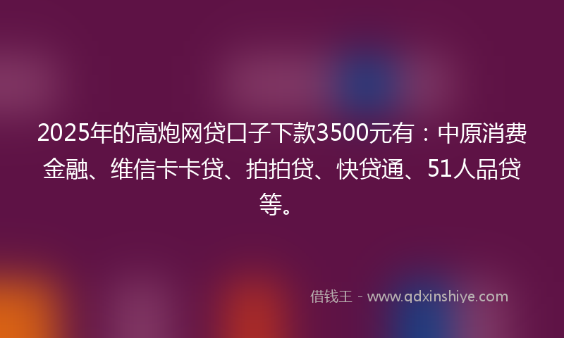 2025年的高炮网贷口子下款3500元有：中原消费金融、维信卡卡贷、拍拍贷、快贷通、51人品贷等。