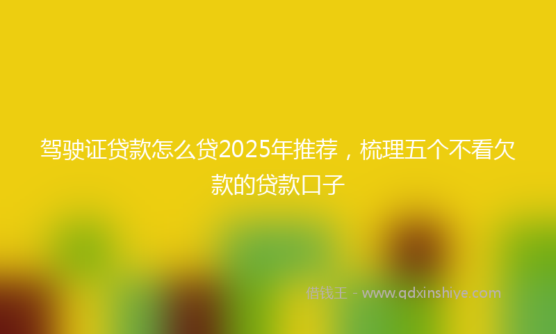 驾驶证贷款怎么贷2025年推荐，梳理五个不看欠款的贷款口子