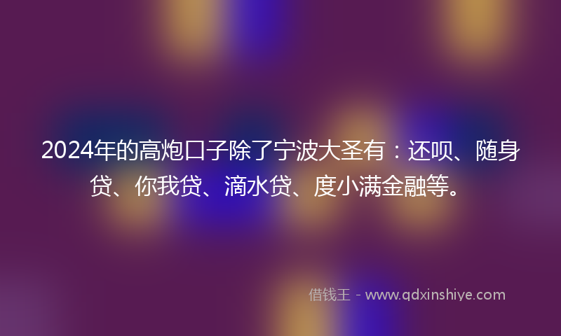 2024年的高炮口子除了宁波大圣有：还呗、随身贷、你我贷、滴水贷、度小满金融等。