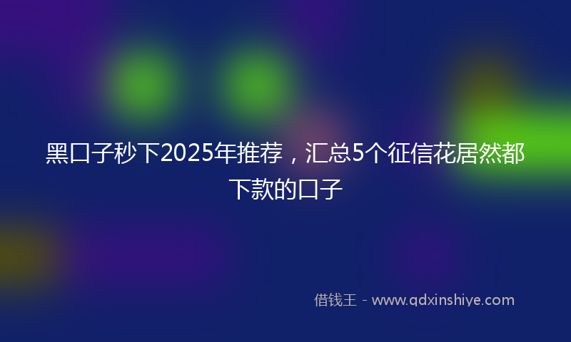 黑口子秒下2025年推荐，汇总5个征信花居然都下款的口子