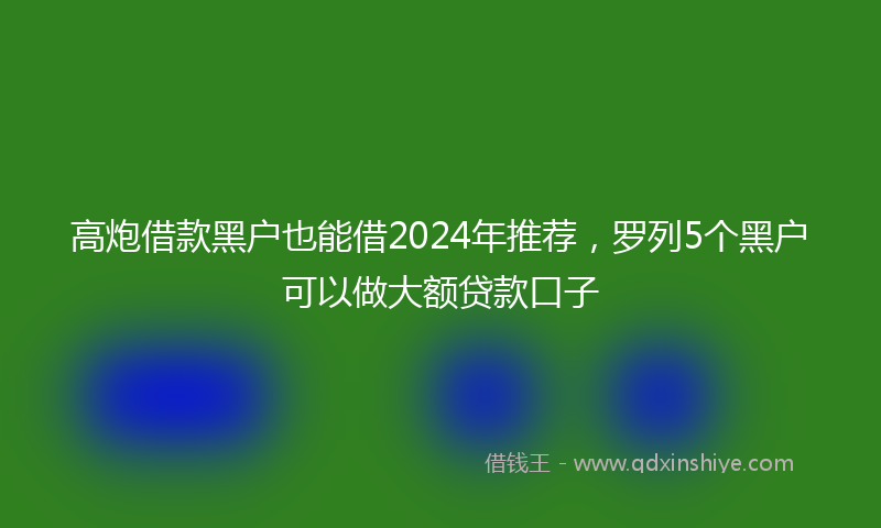 高炮借款黑户也能借2024年推荐，罗列5个黑户可以做大额贷款口子