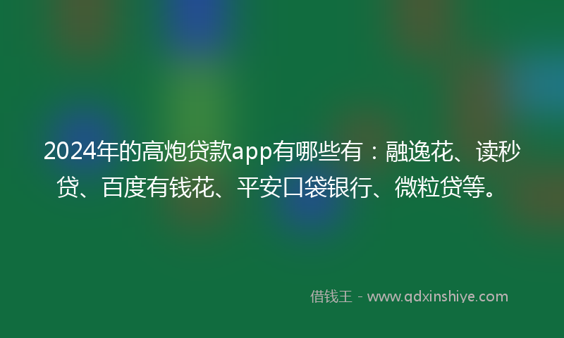 2024年的高炮贷款app有哪些有：融逸花、读秒贷、百度有钱花、平安口袋银行、微粒贷等。