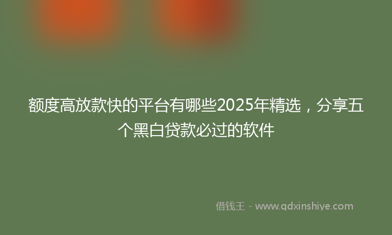 额度高放款快的平台有哪些2025年精选，分享五个黑白贷款必过的软件