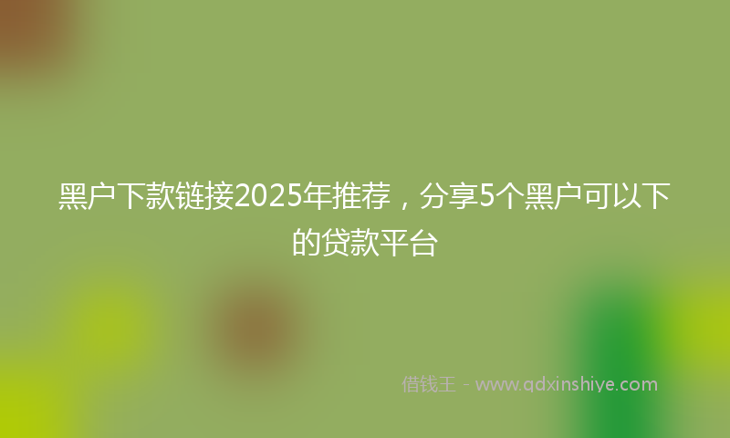 黑户下款链接2025年推荐，分享5个黑户可以下的贷款平台