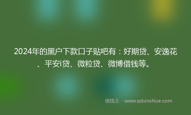 2024年的黑户下款口子贴吧有：好期贷、安逸花、平安i贷、微粒贷、微博借钱等。
