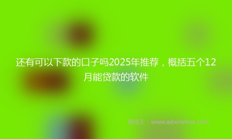 还有可以下款的口子吗2025年推荐，概括五个12月能贷款的软件