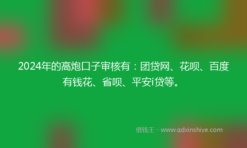 2024年的高炮口子审核有：团贷网、花呗、百度有钱花、省呗、平安i贷等。