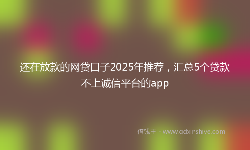 还在放款的网贷口子2025年推荐，汇总5个贷款不上诚信平台的app