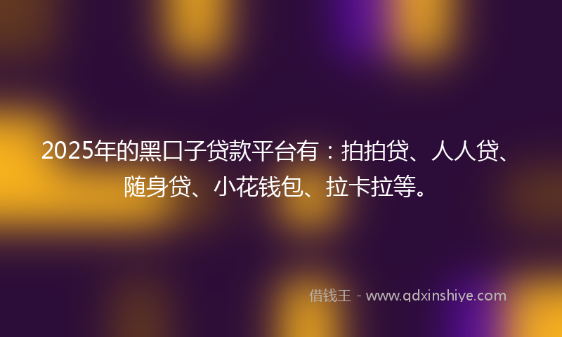 2025年的黑口子贷款平台有：拍拍贷、人人贷、随身贷、小花钱包、拉卡拉等。