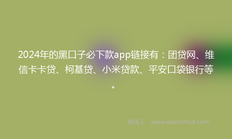 2024年的黑口子必下款app链接有：团贷网、维信卡卡贷、柯基贷、小米贷款、平安口袋银行等。